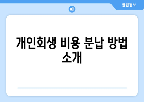 개인회생 비용 분납 방법 소개