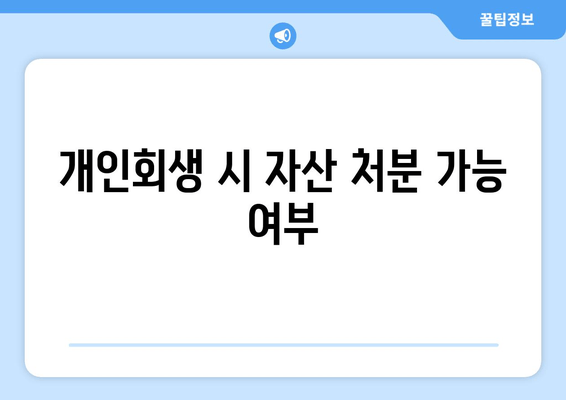 개인회생 시 자산 처분 가능 여부