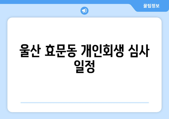 울산 효문동 개인회생 심사 일정