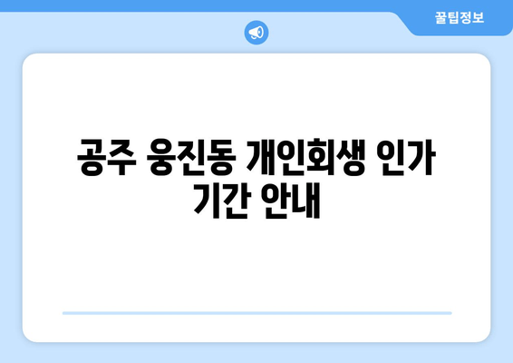 공주 웅진동 개인회생 인가 기간 안내