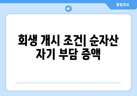 회생 개시 조건| 순자산 자기 부담 증액