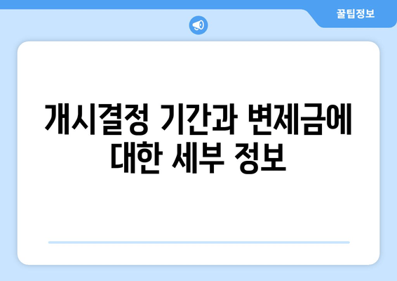 개시결정 기간과 변제금에 대한 세부 정보