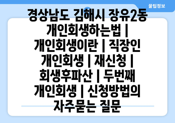 경상남도 김해시 장유2동 개인회생하는법 | 개인회생이란 | 직장인 개인회생 | 재신청 | 회생후파산 | 두번째 개인회생 | 신청방법