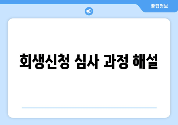 회생신청 심사 과정 해설