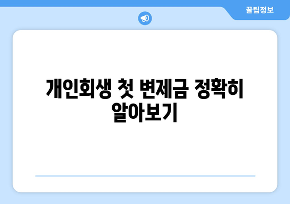 개인회생 첫 변제금 정확히 알아보기