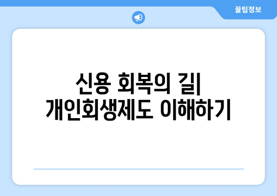 신용 회복의 길| 개인회생제도 이해하기