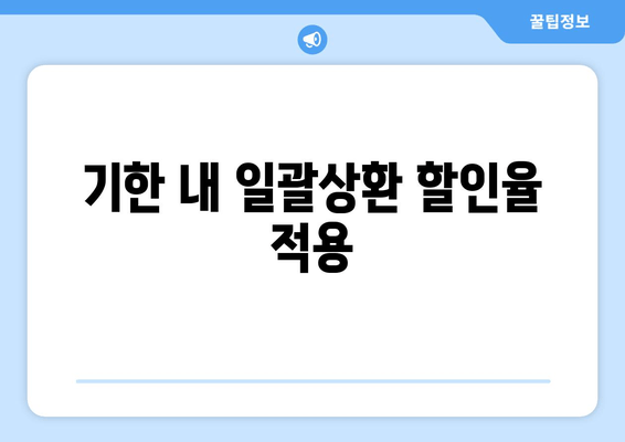 기한 내 일괄상환 할인율 적용