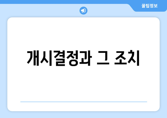 개시결정과 그 조치