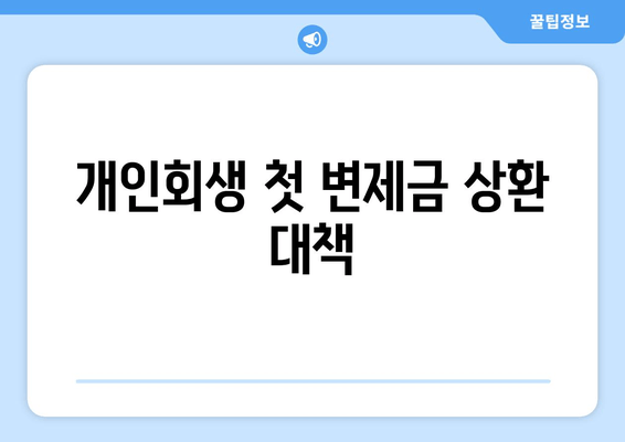 개인회생 첫 변제금 상환 대책