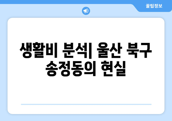 생활비 분석| 울산 북구 송정동의 현실