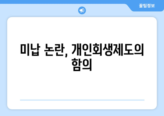 미납 논란, 개인회생제도의 함의