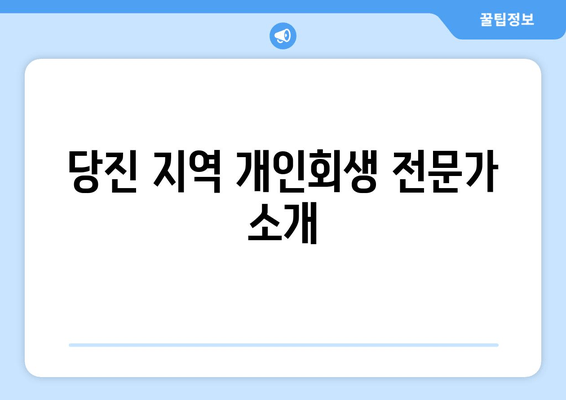 당진 지역 개인회생 전문가 소개