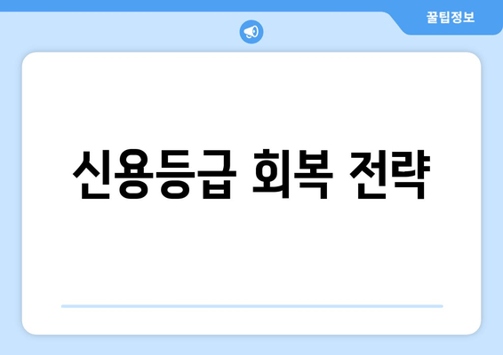 신용등급 회복 전략