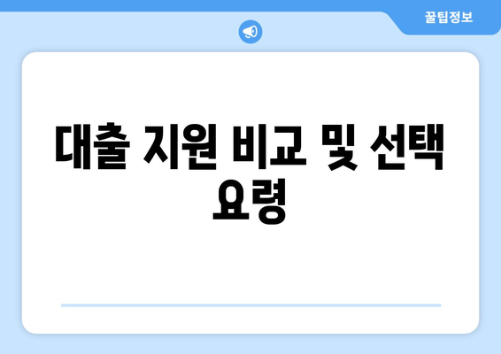 대출 지원 비교 및 선택 요령