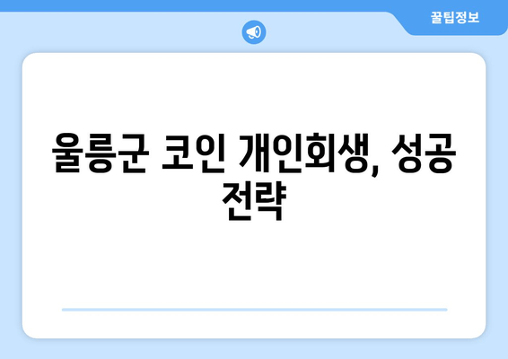 울릉군 코인 개인회생, 성공 전략