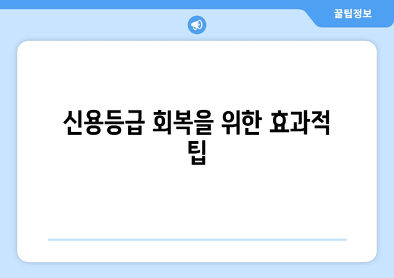 신용등급 회복을 위한 효과적 팁