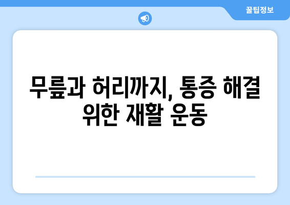 발목 통증, 무릎부터 허리까지? 통증 해결 위한 5가지 요령 | 발목 통증, 무릎 통증, 허리 통증, 통증 완화, 재활 운동