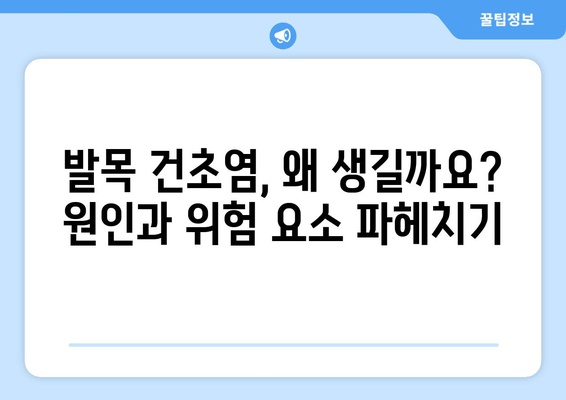 발목 건초염 극복을 위한 완벽 가이드| 증상, 원인, 치료 및 예방 | 발목 통증, 운동, 재활, 건강