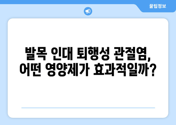 발목 인대 퇴행성 관절염| 관절 영양제로 건강 관리하는 방법 | 관절 건강, 통증 완화, 영양제 추천