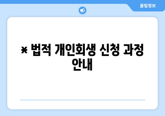 * 법적 개인회생 신청 과정 안내