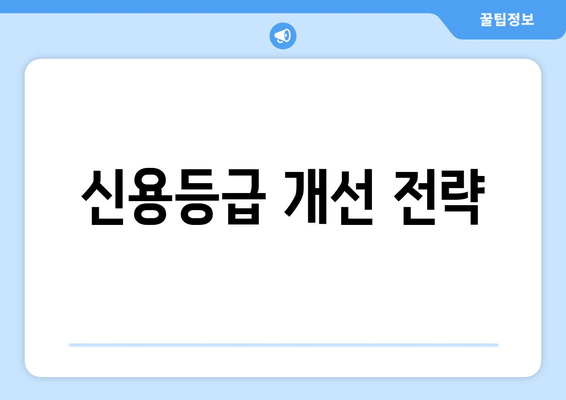 신용등급 개선 전략