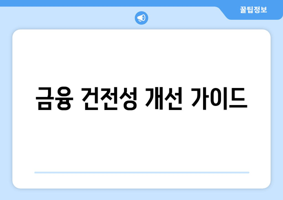 금융 건전성 개선 가이드