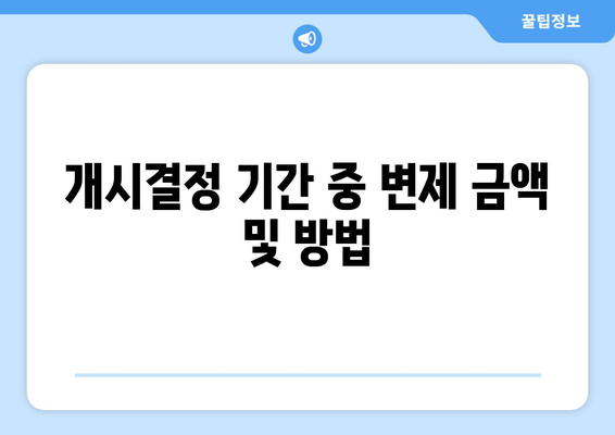 개시결정 기간 중 변제 금액 및 방법