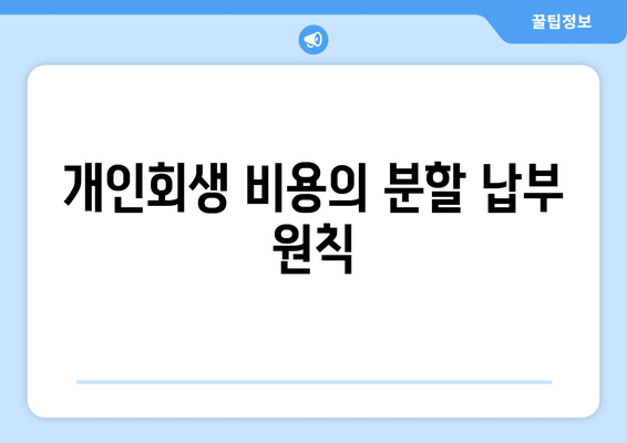 개인회생 비용의 분할 납부 원칙