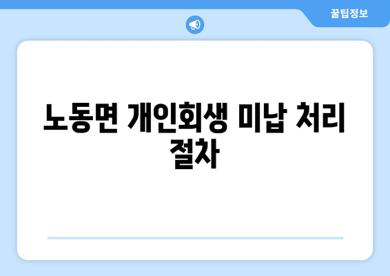 노동면 개인회생 미납 처리 절차