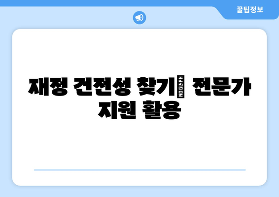 재정 건전성 찾기| 전문가 지원 활용