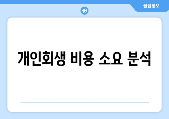 개인회생 비용 소요 분석