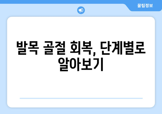 발목 골절 회복, 단계별 가이드| 발목 골절 후 성공적인 재활 위한 지침 | 발목 골절, 회복 과정, 재활, 운동, 치료