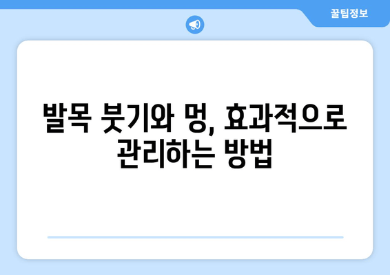 발목 접질렀을 때, 증상별 맞춤 치료법| 찜질, 파스, 붓기, 멍 관리 | 발목 통증, 응급처치, 재활