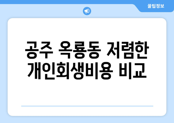 공주 옥룡동 저렴한 개인회생비용 비교