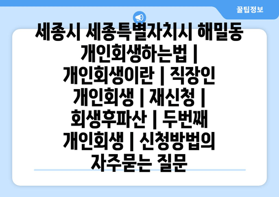 세종시 세종특별자치시 해밀동 개인회생하는법 | 개인회생이란 | 직장인 개인회생 | 재신청 | 회생후파산 | 두번째 개인회생 | 신청방법