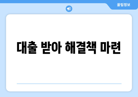 대출 받아 해결책 마련