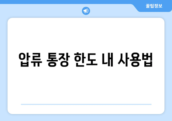 압류 통장 한도 내 사용법