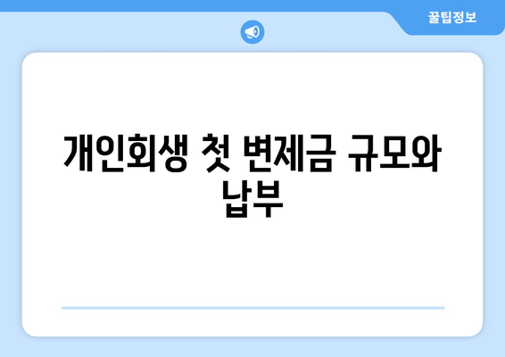 개인회생 첫 변제금 규모와 납부