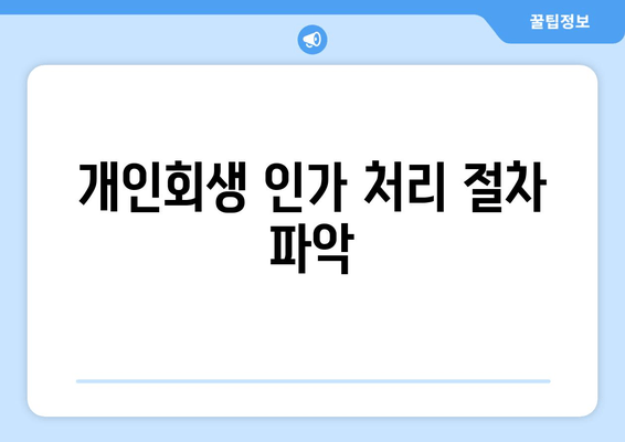 개인회생 인가 처리 절차 파악