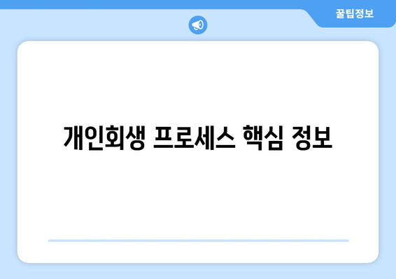 개인회생 프로세스 핵심 정보