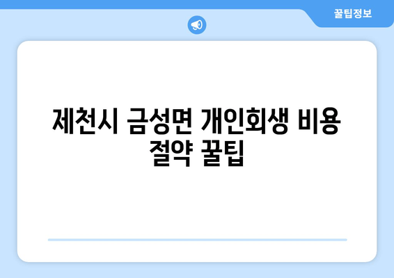 제천시 금성면 개인회생 비용 절약 꿀팁