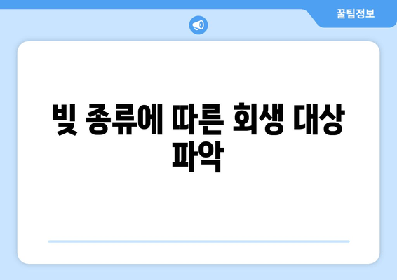 빚 종류에 따른 회생 대상 파악