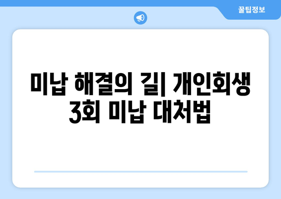 미납 해결의 길| 개인회생 3회 미납 대처법