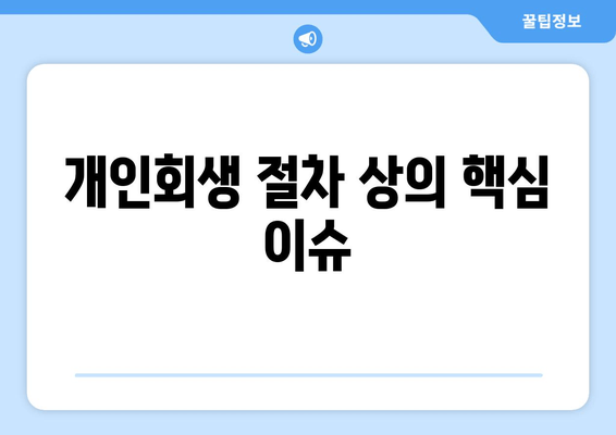 개인회생 절차 상의 핵심 이슈