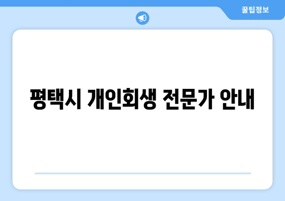 평택시 개인회생 전문가 안내