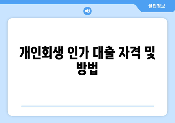 개인회생 인가 대출 자격 및 방법