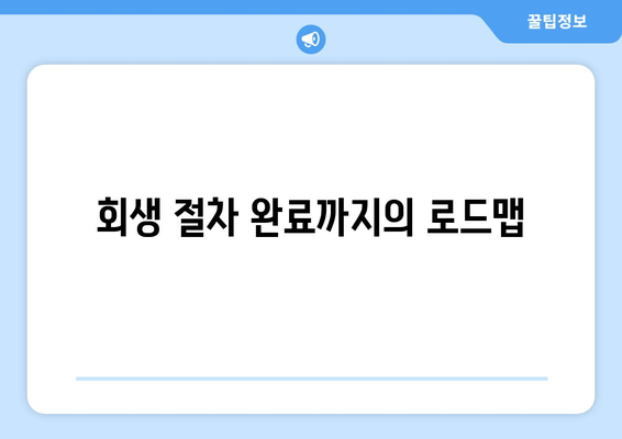 회생 절차 완료까지의 로드맵