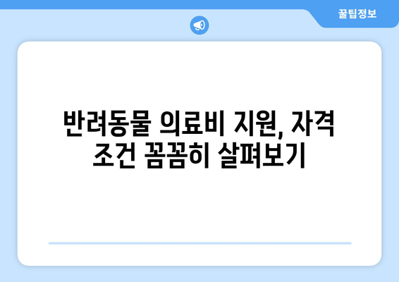 반려동물 의료비 지원, 누가 얼마나 받을 수 있을까요? | 신청 방법 & 자격 조건 완벽 정리