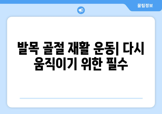 발목골절 치료법| 통증과 고통 완화를 위한 5가지 단계 | 발목 부상, 회복, 재활, 운동