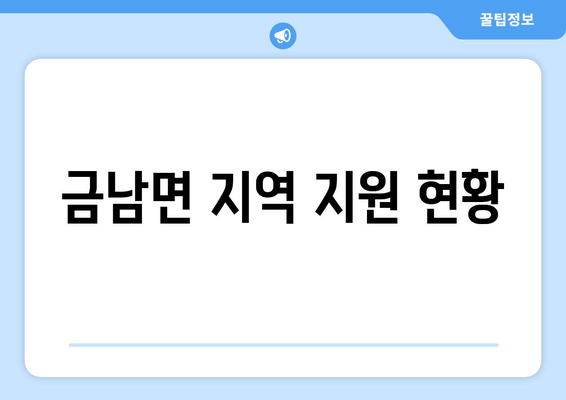 금남면 지역 지원 현황